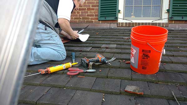 roof repairs to prevent the entry of pests
