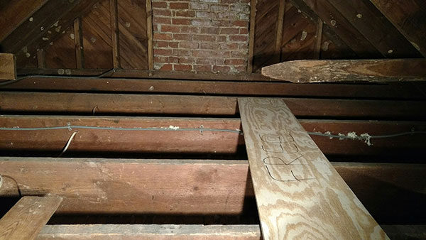 Bats, mice in attic, removed Insulation
