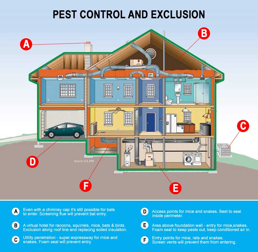 Pest control in Baltimore County, Howard County